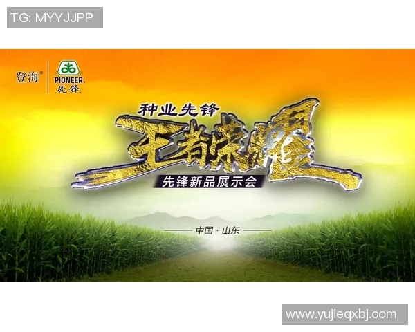 李磊畅谈王者荣耀职业生涯背后的故事与心路历程