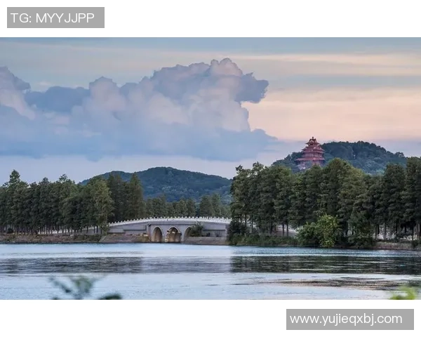 武汉极限运动队的转型与创新探索之路揭秘