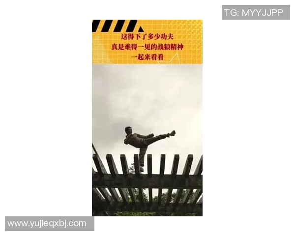 滑板精神：见证北京滑板队勇攀高峰的奋斗与成长之路